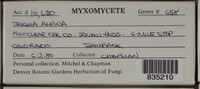 Image Associated With the Occurence